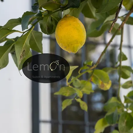 Lemon * Řím