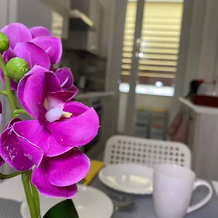 Lola Home, Ostiense * Rome