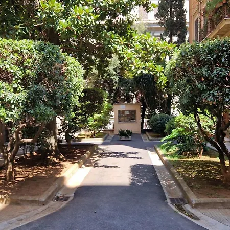 Borghese Magnolia Rome