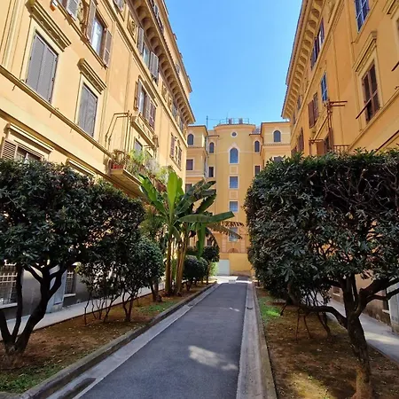 Borghese Magnolia
