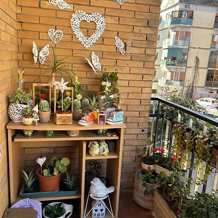 Semini Di Nostalgia Appartamento