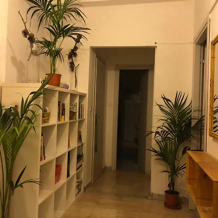 Lizartgarden Panoramic * Roma
