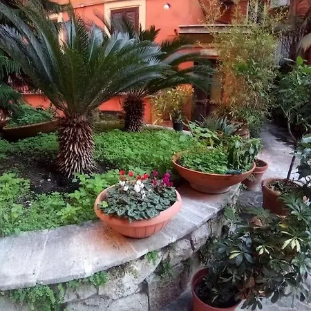Grazioso Ai Musei Vaticani Apartment Rome