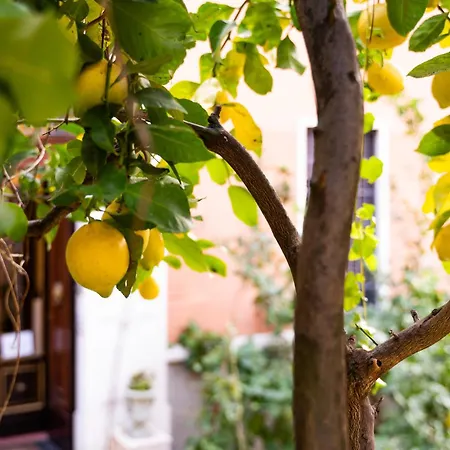 Bed & Breakfast Contessa Arrivabene Antica Dimora