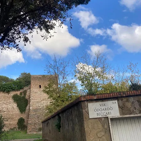 Boutique Maximus Guest house