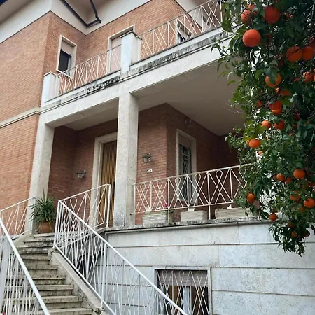 Guest house Boutique Maximus