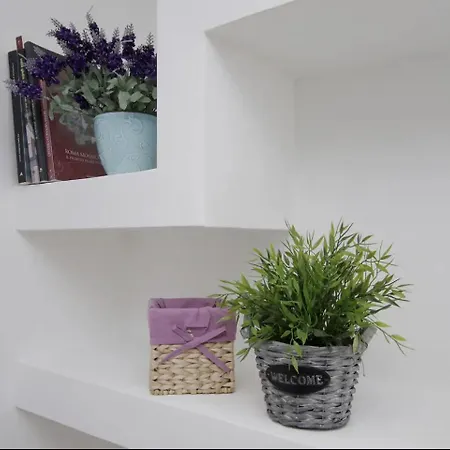 Santhome Apartment