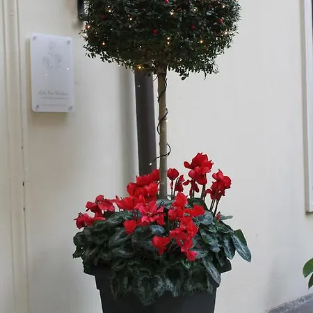 Guest house Little Rose 2*