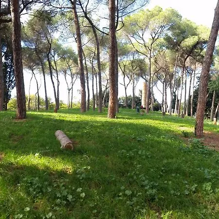 Holiday Home Roma * Ρώμη