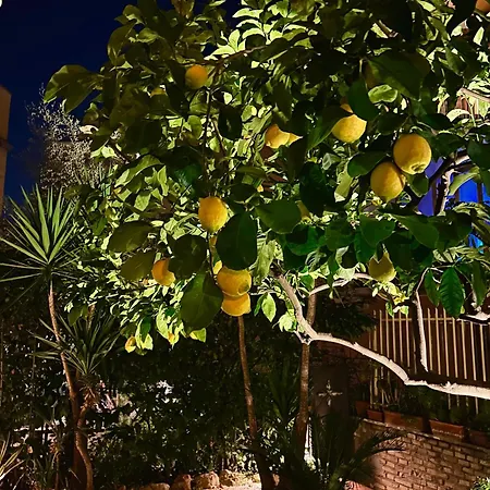 Isola Roger - Con Giardino A Holiday home