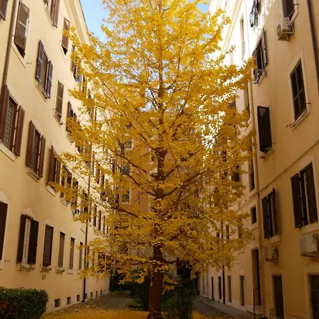 Vera Suite&apartment - Charming 3 Bedroom - 20min Walk From Colosseum * Rome