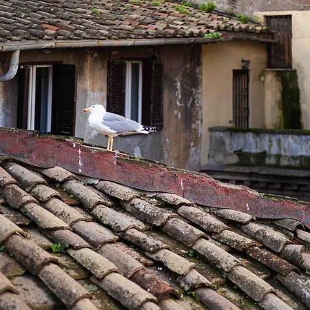 Casa De' Fiori Bed & Breakfast
