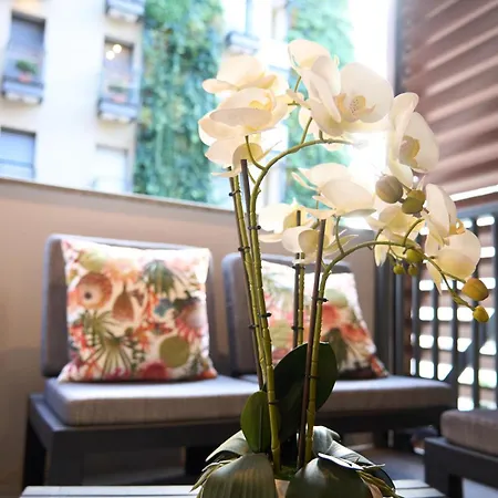 Trastevere Boutique With Gym And Steam Shower Apartment Rome