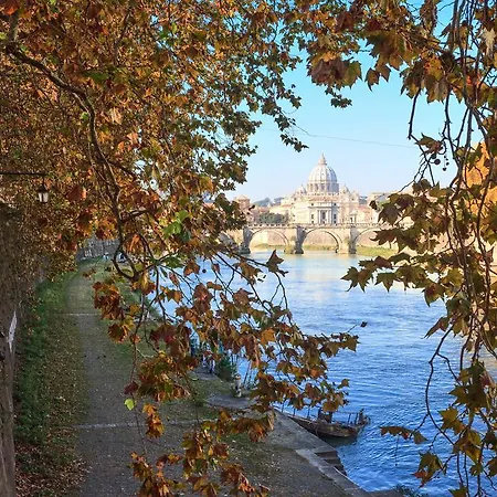 Affittacamere Vatican Domus