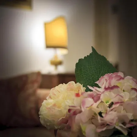 Apartment Palazzo Donarelli *