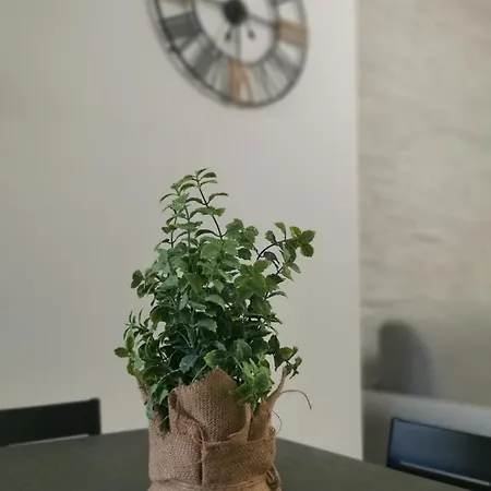 Apartment A Due Passi Da Trastevere