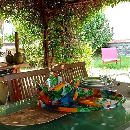 The Olive Grove Villa *