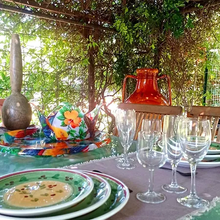 The Olive Grove Villa