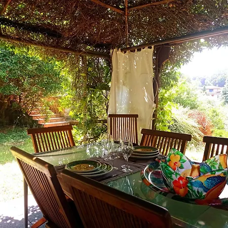 The Olive Grove Villa