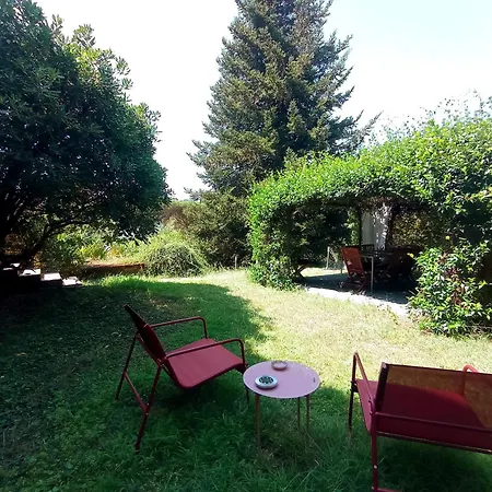 The Olive Grove Rome