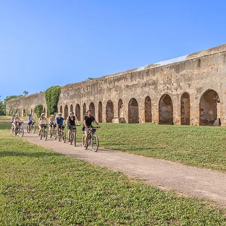 Villa Bbhome Domus Aquae Inside Of Appia Antica Park