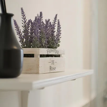 Modern 1 Bedroom Near Metro Appartamento Roma
