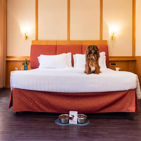 Hotel Western President - Colosseo Řím