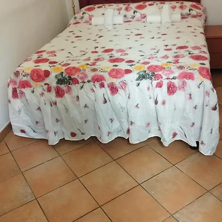 Star Guest house