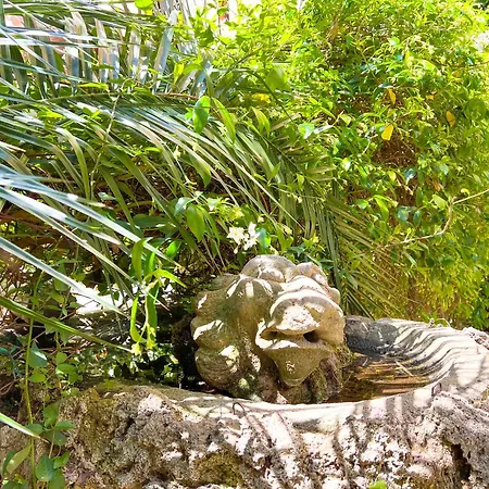 Luxury House & Secret Garden - Strategic Location, 100m To Metro B Rome