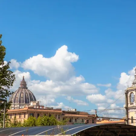 Vatican Terrione 105 *
