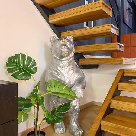 Orso Rome