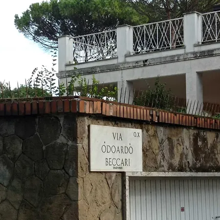 Boutique Maximus Guest house