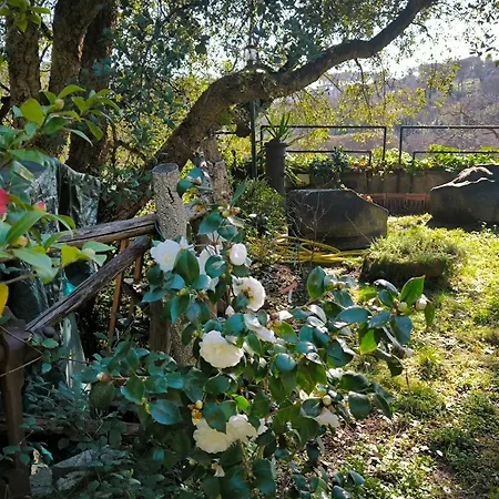 Cassia, Luminoso Open Space Nel , Casa Dei Leoni Apartment Rome