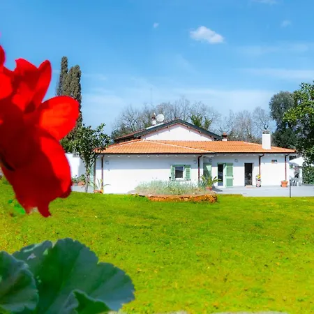 Casa vacanze Woody