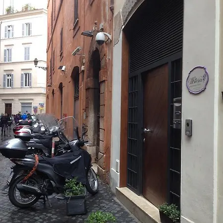 Wisteria * Rome