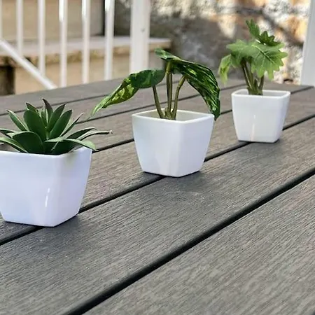 Апартаменты Virgy Green House