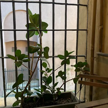 Casacau Apartamento