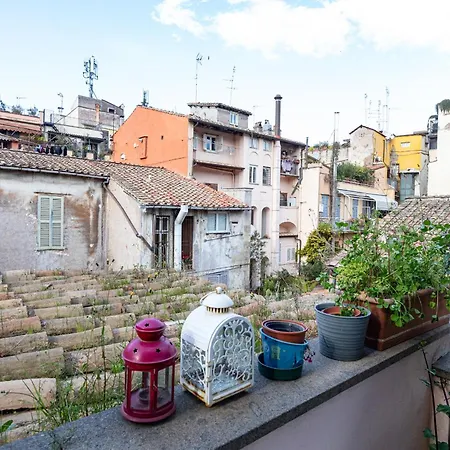 Collection Spanish Steps - Collection *