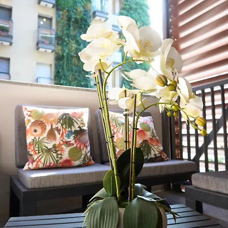 Trastevere Boutique With Gym And Steam Shower Apartamento *
