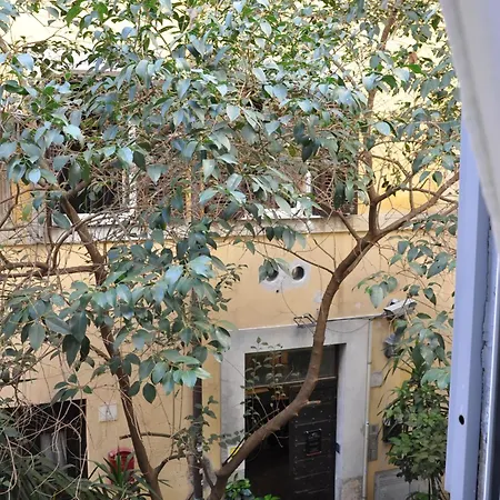 Guest house Colosseo *