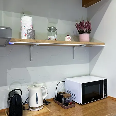 Loft 125 Passi Dal Colosseo Appartamento *