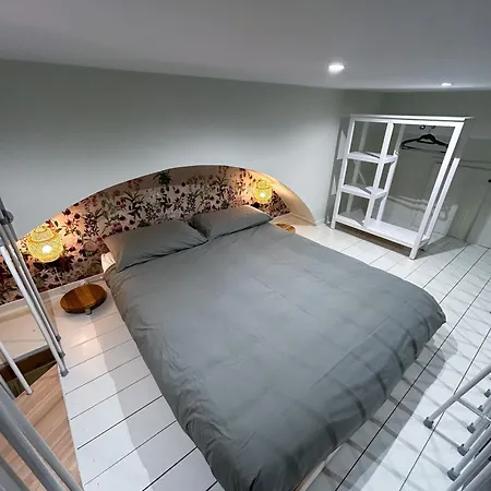 Loft 125 Passi Dal Colosseo Apartment *