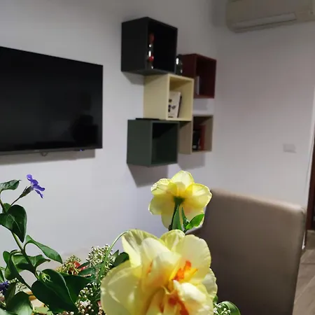 Apartment Consoli *