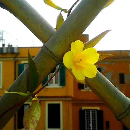 Bluemoon Attic With Sunny Terrace Apartment Rome