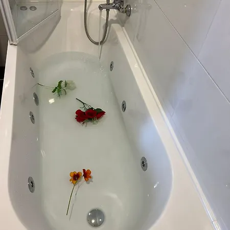 Affitacamere Radi Guest house Rome
