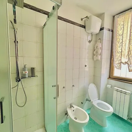 Begonie House Rome