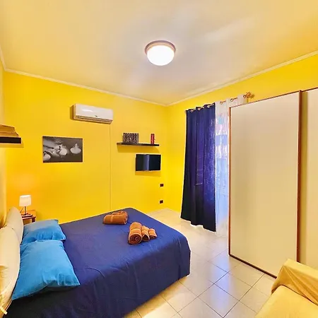 Begonie House Rome