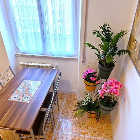 Guest house Cecilia House *