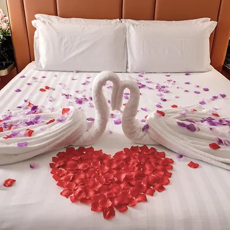 Hotel Cc Palace 4*