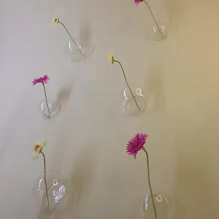 Wisteria Apartment